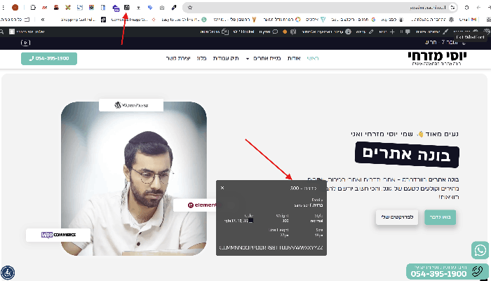 גילוי פונט באתר