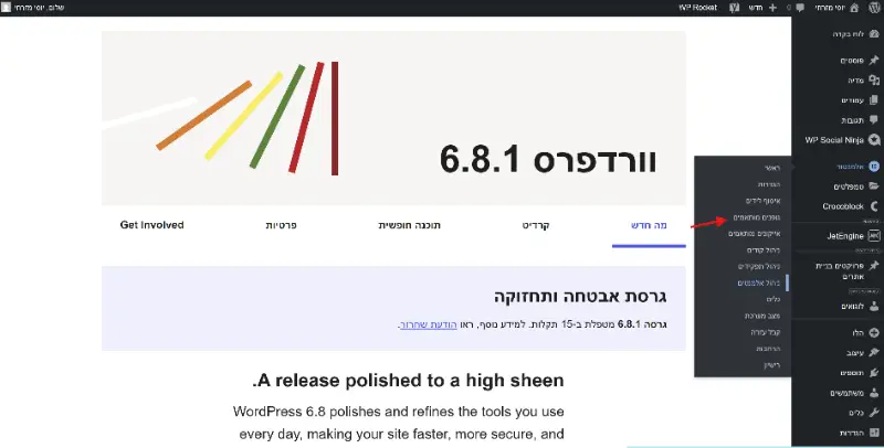 שלב 1 פונטים מותאמים